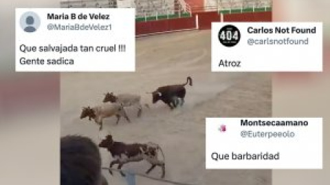 Repulsa ante la salvajada en la plaza de toros de Barbastro: "No es cultura, es crueldad sanguinaria"