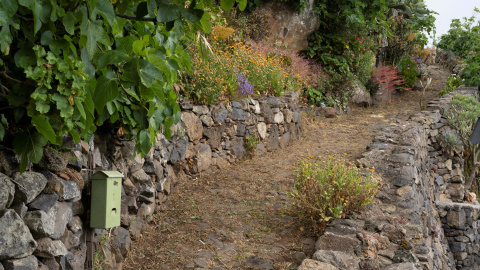 08/09/2023 - Las Cruces de El Hierro