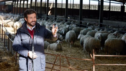 El presidente nacional del PP, Pablo Casado, en su visita a una quesería de Matadeón de los Oteros (León) este jueves.