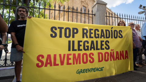 Concentración en las puertas del Parlamento Andaluz convocada por Salvemos Doñana.