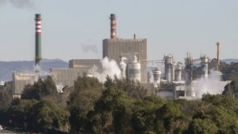 El Supremo avala que la fábrica papelera de Ence permanezca en la ría de Pontevedra hasta 2073