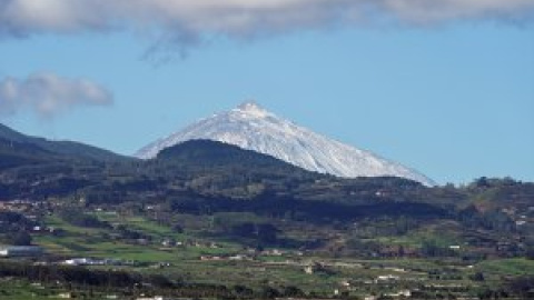 Los sitios patrimonio de la humanidad, "el último bastión" de 20.000 especies amenazadas