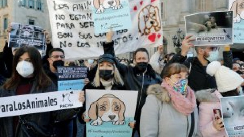 Animalistas protestan en Barcelona por la experimentación de un fármaco con perros