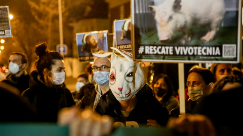 Un grupo de personas sostiene pancartas durante la concentración contra el CSIC por las víctimas de Vivotecnia, ante las dependencias del CSIC, a 27 de enero de 2022, en Madrid.