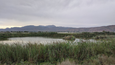 Los Saladares de Guadalentín, una de las Zonas Especiales de Conservación dentro de España cuyas aguas están más afectadas por la presencia de contaminantes persistentes como pesticidas y PFAs, según un estudio de IDAEA-CSIC.