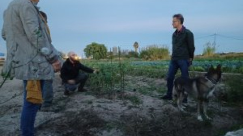 València apuesta por la soberanía alimentaria como vía para salvar su vega