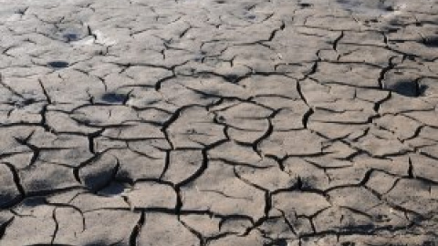 La crisis climática se lleva por delante la mitad de la cosecha de cereal de España