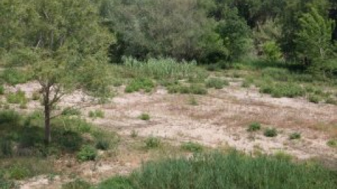 Ecologistes denuncia l'ACA per voler reduir els cabals dels rius Llobregat, Muga i Ter