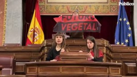 Dos activistas de Futuro Vegetal se pegan al atril del Congreso para protestar contra las subvenciones a las macrogranjas