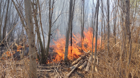 23/03/2023 - Incendi d'aquesta setmana a l'Estany d'Ivars i Vila-Sana, al Pla d'Urgell.