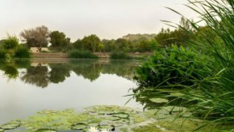 Luchar contra la sequía cuidando nuestra Tierra