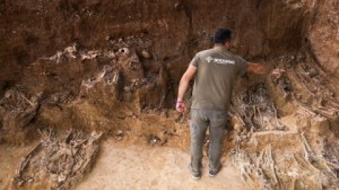 La historia en los huesos: la fosa de Pico Reja y los mineros que querían parar el golpe fascista