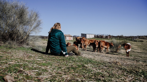 Una mujer observa el ganado en una finca de ganadería extensiva en Colmenar Viejo (Madrid). E.P./Carlos Luján