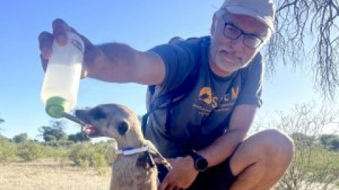 Eloy Revilla, director de la Estación Biológica de Doñana: "Hay que ser positivos"