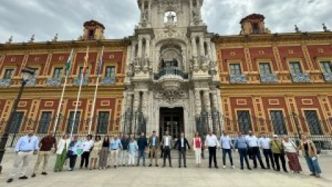 La rebelión de los alcaldes de la comarca de Osuna contra Moreno Bonilla por el colapso sanitario