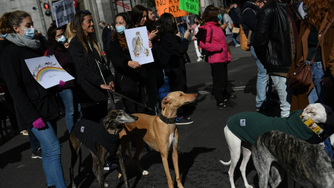 Foto de archivo de varias personas, con pancartas contra el maltrato animal marchan por la Gran Vía con sus perros, durante una manifestación contra la caza, a 6 de febrero de 2022, en Madrid.