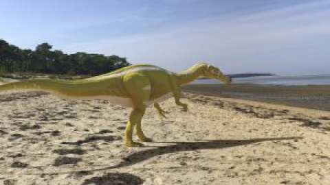 Descubiertos los restos fósiles de un nuevo dinosaurio, bípedo y carnívoro, en Castellón