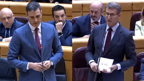 El cara a cara entre Sánchez y Feijóo en el Senado, en imágenes