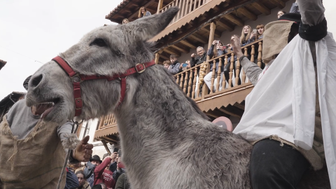 PACMA denuncia "maltrato psíquico" al burro del Peropalo en el carnaval de Villanueva de la Vera (Cáceres)