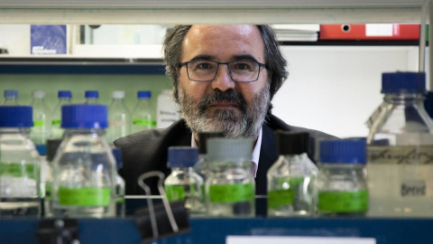 Lluís Montoliu, investigador del CSIC.