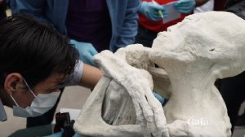 La misteriosa momia de Perú tiene los mismos cromosomas que los humanos pero no su anatomía