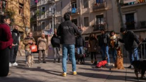 Barcelona organiza diversos talleres de educación canina gratuitos