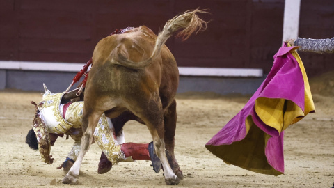 Corrida de toros