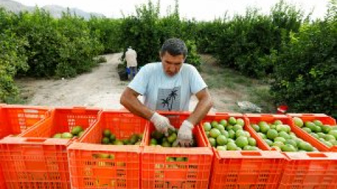 Agricultura quiere prohibir las renovables en suelo de regadío y obvia las consecuencias de la crisis climática