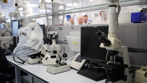 Microscopios en el laboratorio de la farmacéutica Berlimed, a 10 de octubre de 2023, en Alcalá de Henares, Madrid