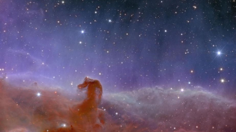 Vista de Euclides de la Nebulosa Cabeza de Caballo