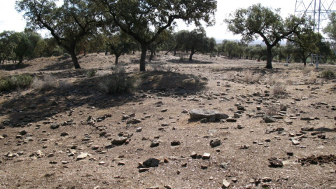 Imagen de la finca donde se abrirá la eventual mina a cielo abierto en Aznalcóllar, Sevilla.- Perfil de Facebook de No a la minería en Campo de Tejada.