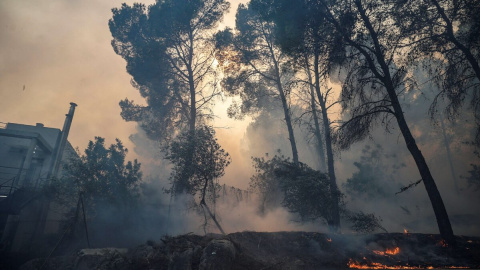 Una zona afectada por el fuego, a 3/11/2023, en Ador, València. - Rober Solsona / Europa Press.