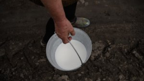 Ganaderos en guerra contra el cártel de la leche: "Se han enriquecido a costa de la gente trabajadora"