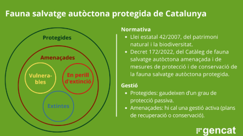 Categoríes de fauna salvatge autòctona protegida a Catalunya