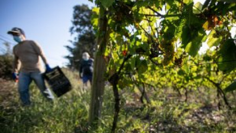 La sequía acorta las campañas agrícolas y empieza a causar estragos en el empleo campesino