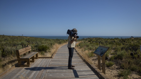 Nueva pasarela de Cuesta Maneli en el Espacio Natural de Doñana. (Almonte, Huelva, Andalucía, España), a 09 de junio de 2020.