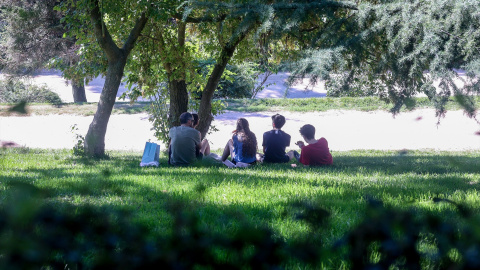 04/10/23-Varias personas pasan la mañana en el Parque del Oeste, en Madrid, a 30 de septiembre de 2023.