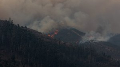 ¿Quién está quemando el monte asturiano?