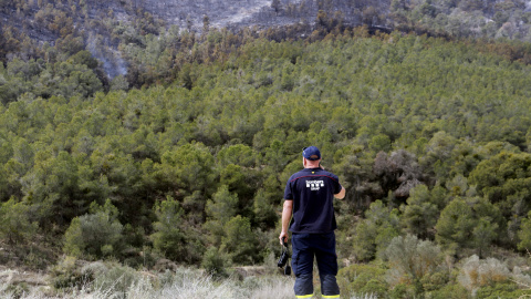 Un bomber observa una columna de fum a l'incendi de la Franja.