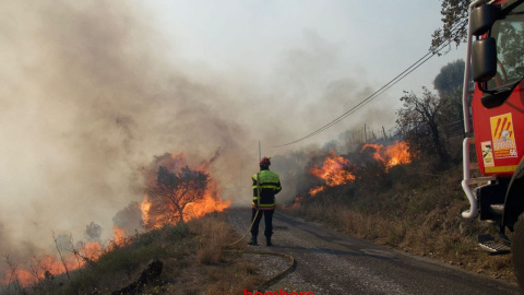 Un moment dels treballs d'extinció dels Bombers de la Generalitat a la Catalunya del Nord.