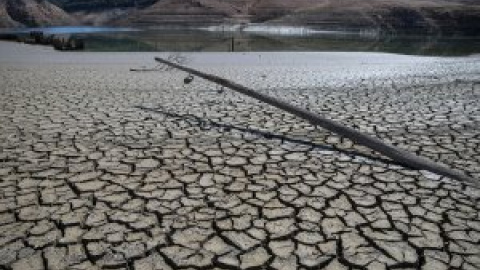 El calor extremo y la sequía generalizada marcaron el clima europeo en 2022