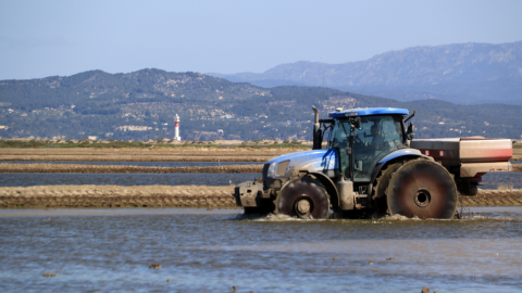 9-5-2023 Un tractor sembra arròs en uns camps davant del fas del Fangar del Delta