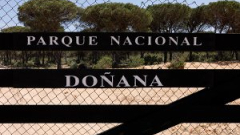 Unidas Podemos propone que Doñana tenga personalidad jurídica propia para elevar su protección