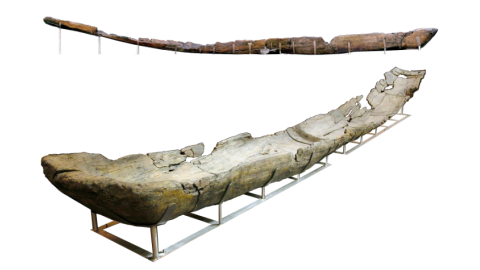 Canoa La Marmotta 2, expuesta en el Museo della Civilitá.