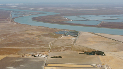 Paisaje de las marismas del Guadalquivir de Trebujena (Cádiz), el área en el que se proyecta una macrourbanización de hoteles, campo de golf y 300 viviendas