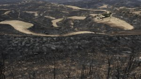 Reactivar el mundo rural, clave para prevenir los grandes incendios forestales