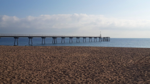 Una vista del Pont del Petroli en la seva totalitat on es pot apreciar com s'endinsa en el mar.