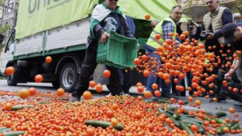 Las 43 propuestas de Agricultura que dividen al campo español