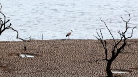 El pasado abril se convierte en el más cálido y seco de la historia con temperaturas 3ºC por encima de la media