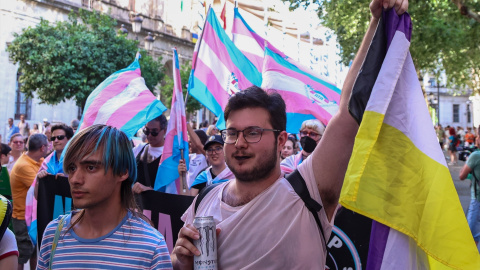 10/04/2024 Primera Marcha Trans en las calles de Sevilla, a  a 23 de junio de 2023.